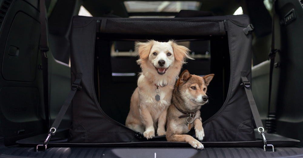 Chrysler Pacifica Pet Kennel