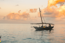 New England's Biggest Boat Show Brought Summer Vibes to Winter Boston (1)